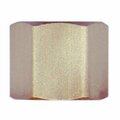 Do It Best Do it Compression Nut 407214